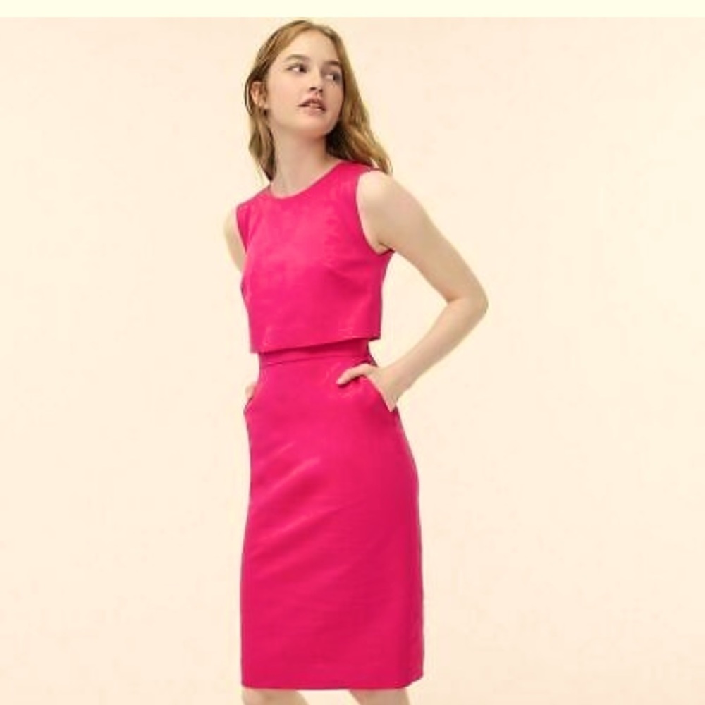 J Crew NWT size 10 pink dress